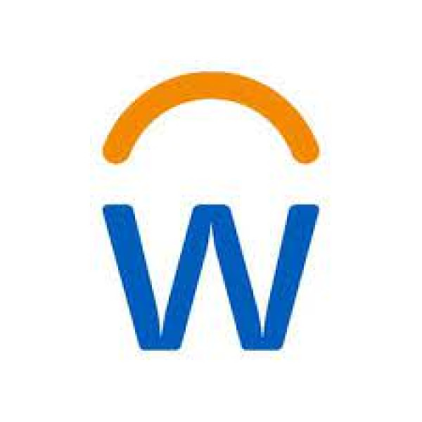 WORKDAY CONSULTANCY PROFESSIONAL SERVICES